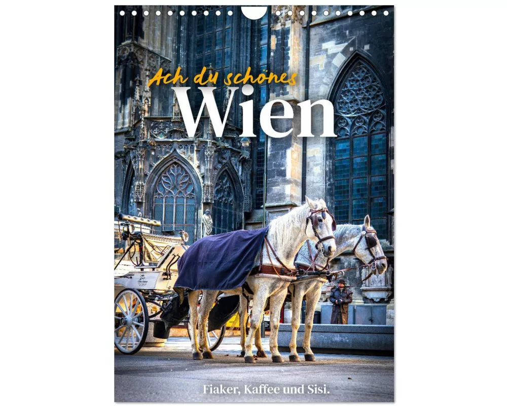 Ach du schönes Wien (Wandkalender 2026 DIN A4 hoch), CALVENDO Monatskalender