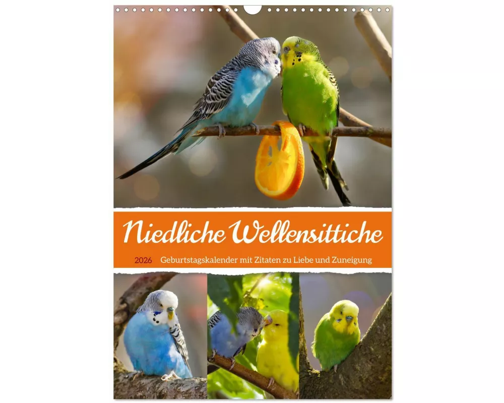 Niedliche Wellensittiche (Wandkalender 2026 DIN A3 hoch), CALVENDO Monatskalender