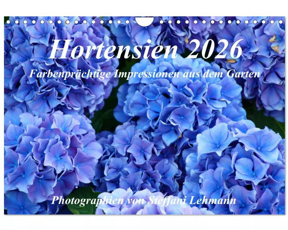 Hortensien 2026. Farbenprächtige Impressionen aus dem Garten (Wandkalender 2026 DIN A4 quer), CALVENDO Monatskalender