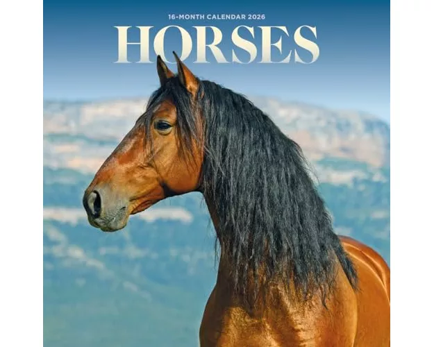 Horses Square Mini Sunday Start Calendar