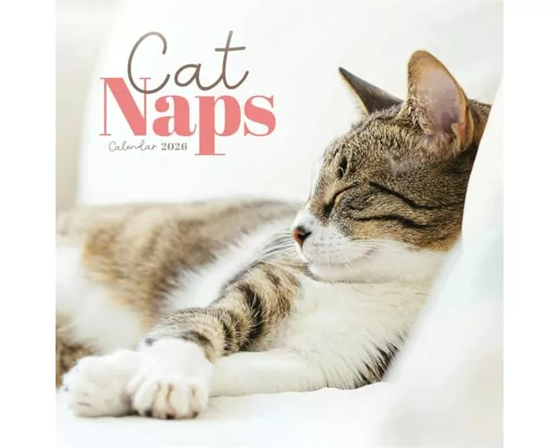 Cat Naps Square Mini Calendar 2026