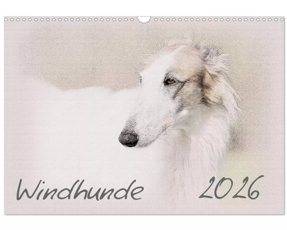 Windhunde 2026 (Wandkalender 2026 DIN A3 quer), CALVENDO Monatskalender