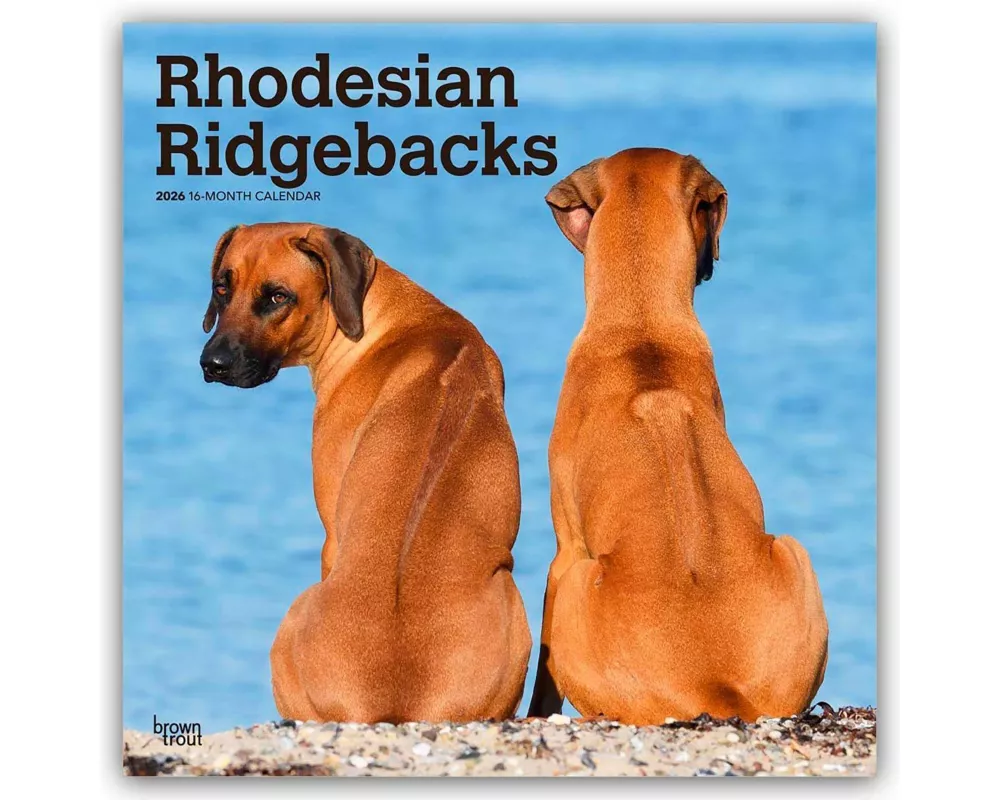 Rhodesian Ridgebacks - Rhodesian Ridgeback 2026 - 16-Monatskalender