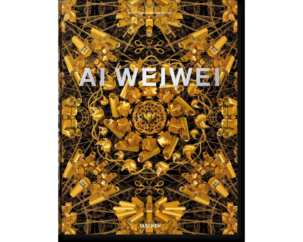 Ai Weiwei. Updated Edition