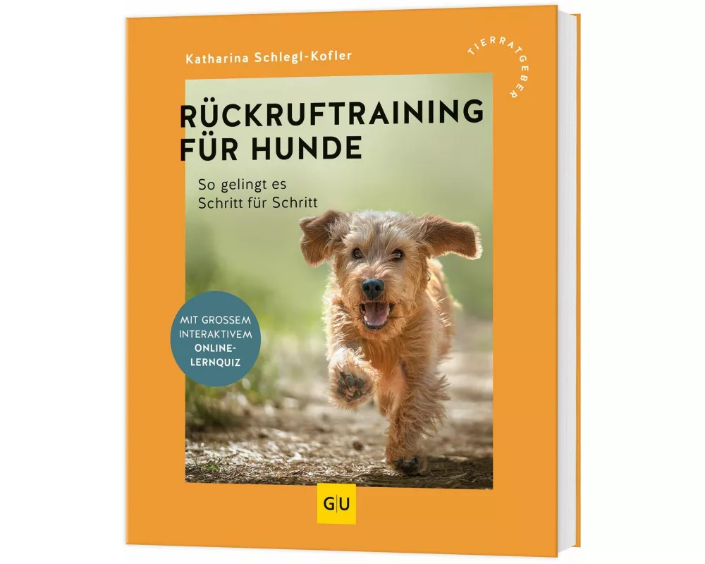 Rückruftraining für Hunde