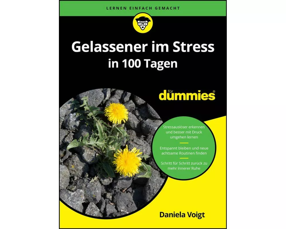 Gelassener im Stress in 100 Tagen für Dummies