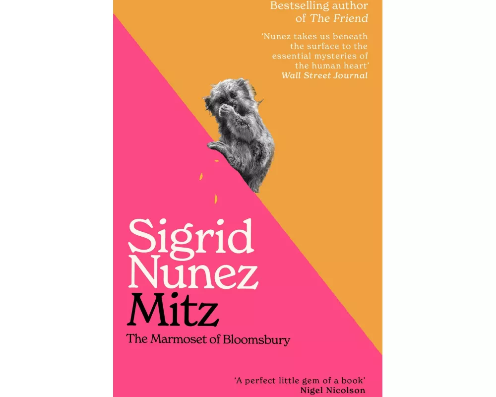Mitz