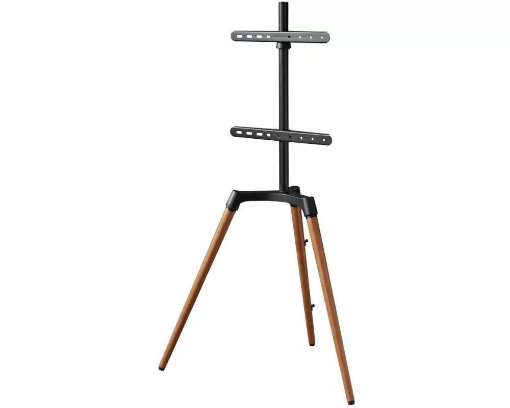 Hama Technics AG TV-Ständer bis 165 cm (65 Zoll) Schwarz