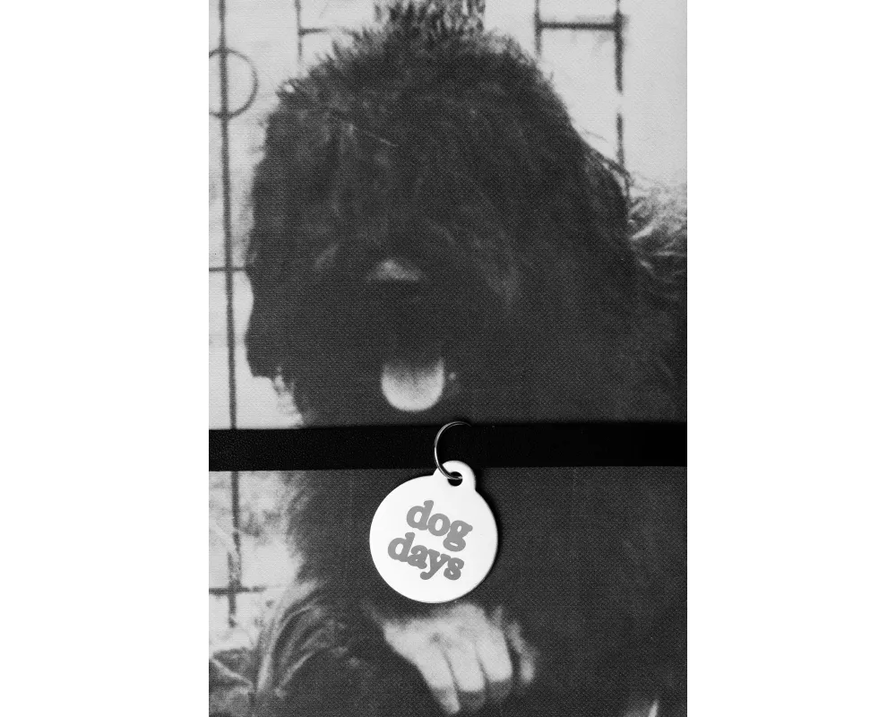 dog days