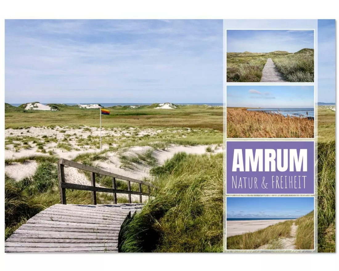 Amrum: Natur und Freiheit (Wandkalender 2026 DIN A3 quer), CALVENDO Monatskalender