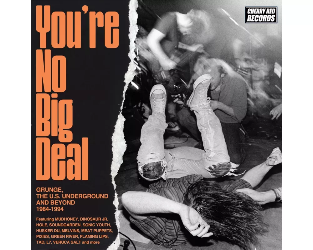 You're No Big Deal-Grunge & The US Underground