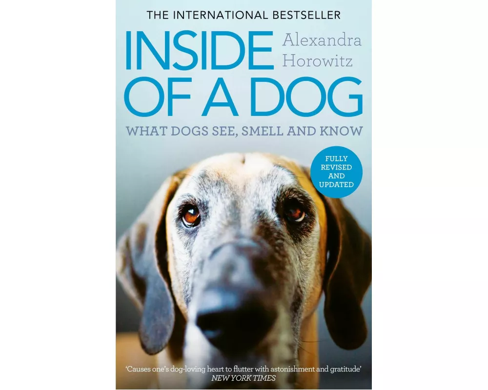 Inside of a Dog