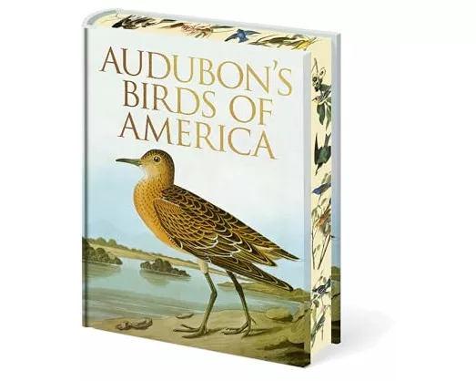 Audubon's Birds of America