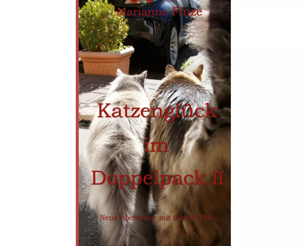 Katzenglück im Doppelpack II