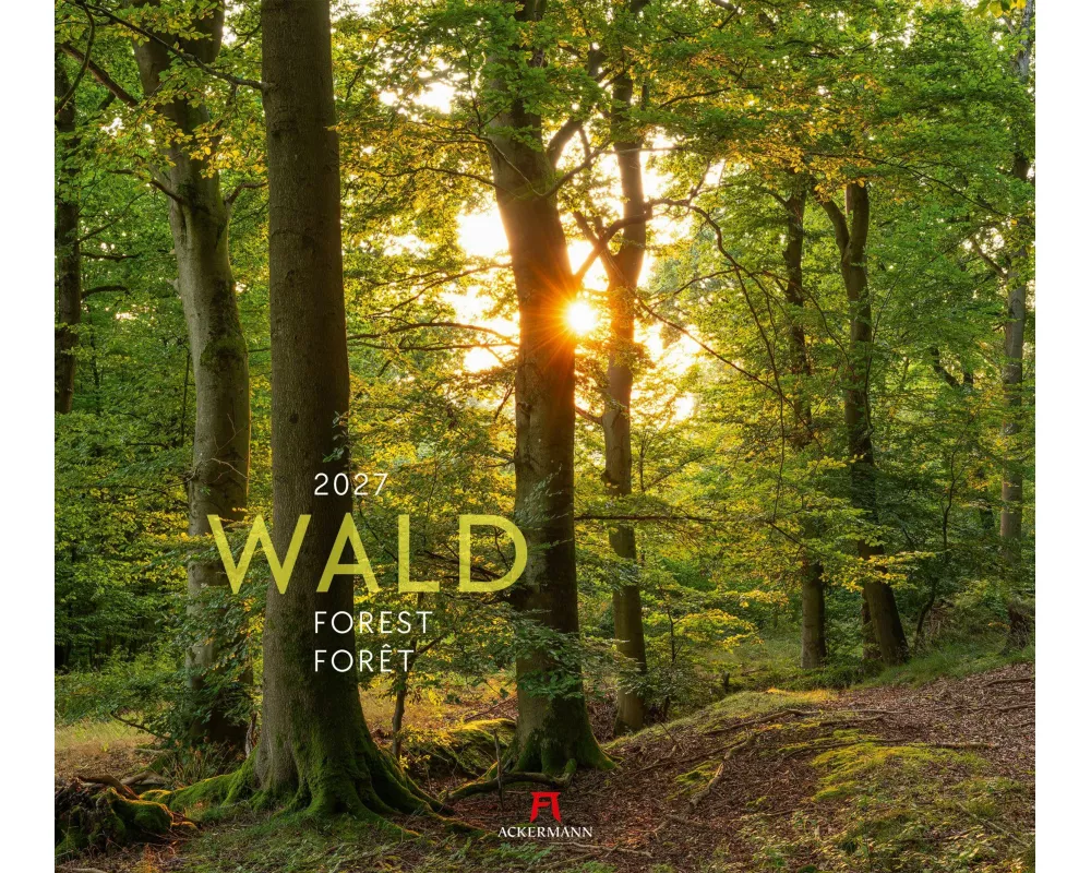 Wald Kalender 2027