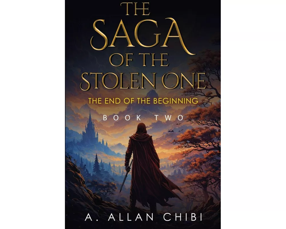 The Saga of the Stolen One