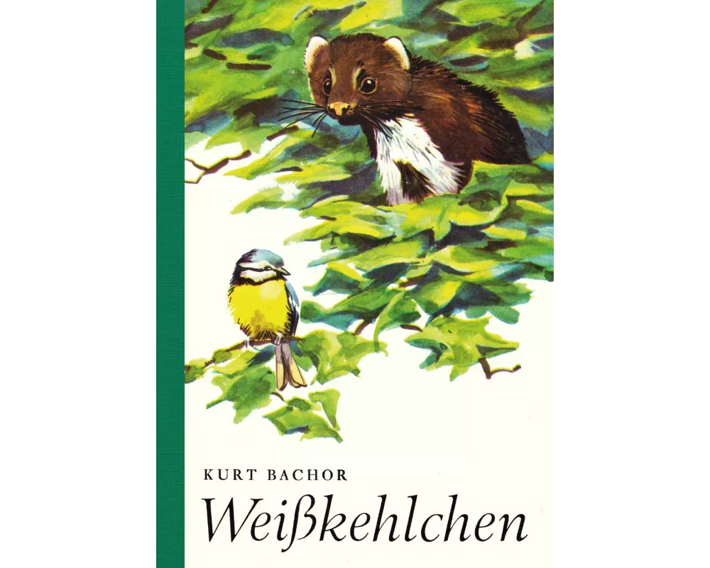 Weißkehlchen