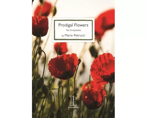 Prodigal Flowers