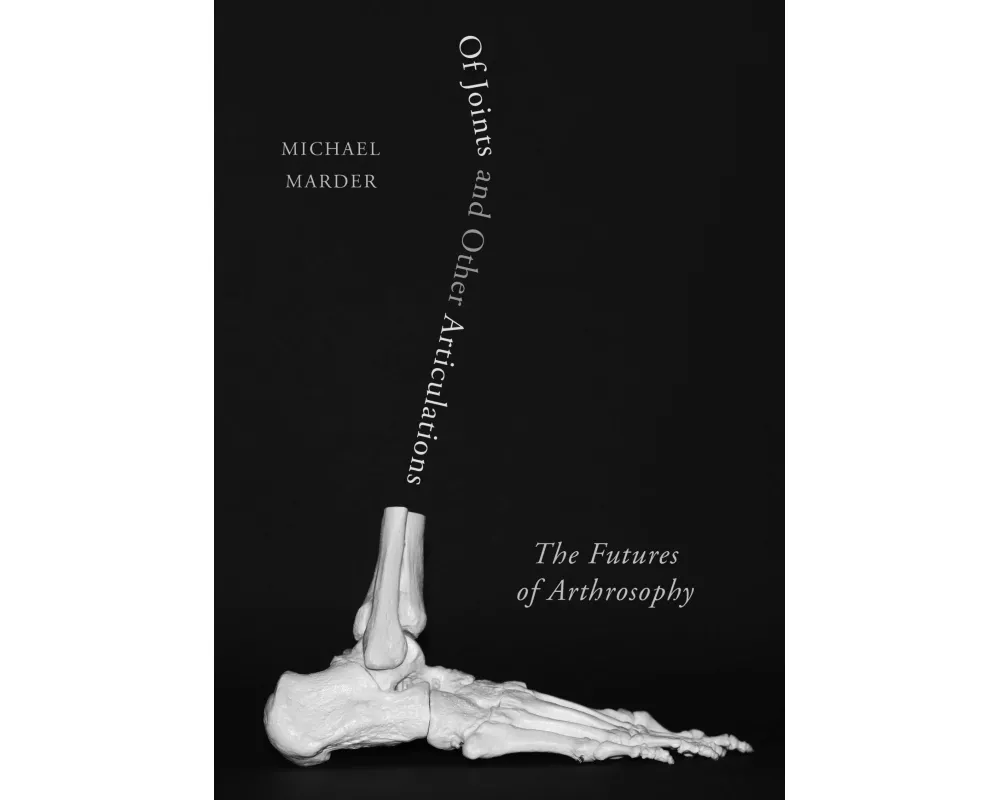 Of Joints and Other Articulations