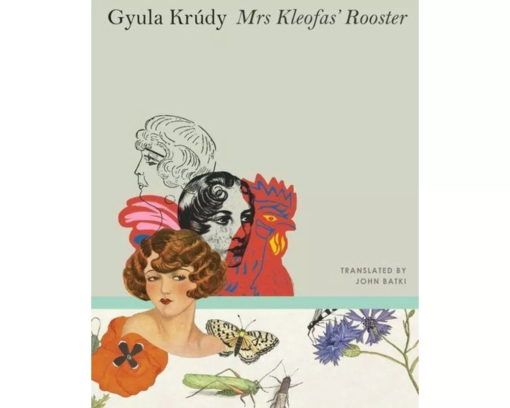 Mrs Kleofas’s Rooster