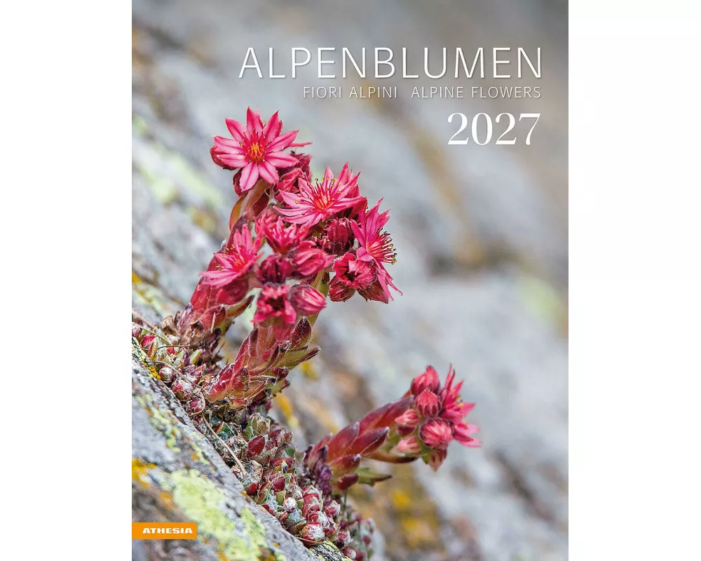 Alpenblumen Kalender 2027