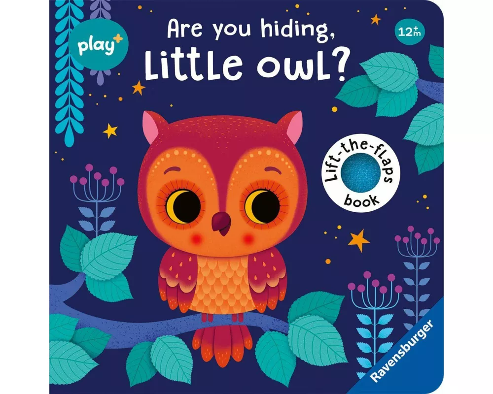 Play+ Are you hiding, little owl?