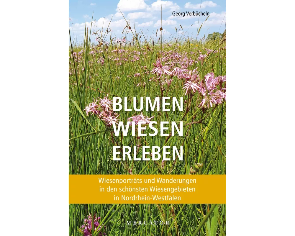Blumen Wiesen Erleben
