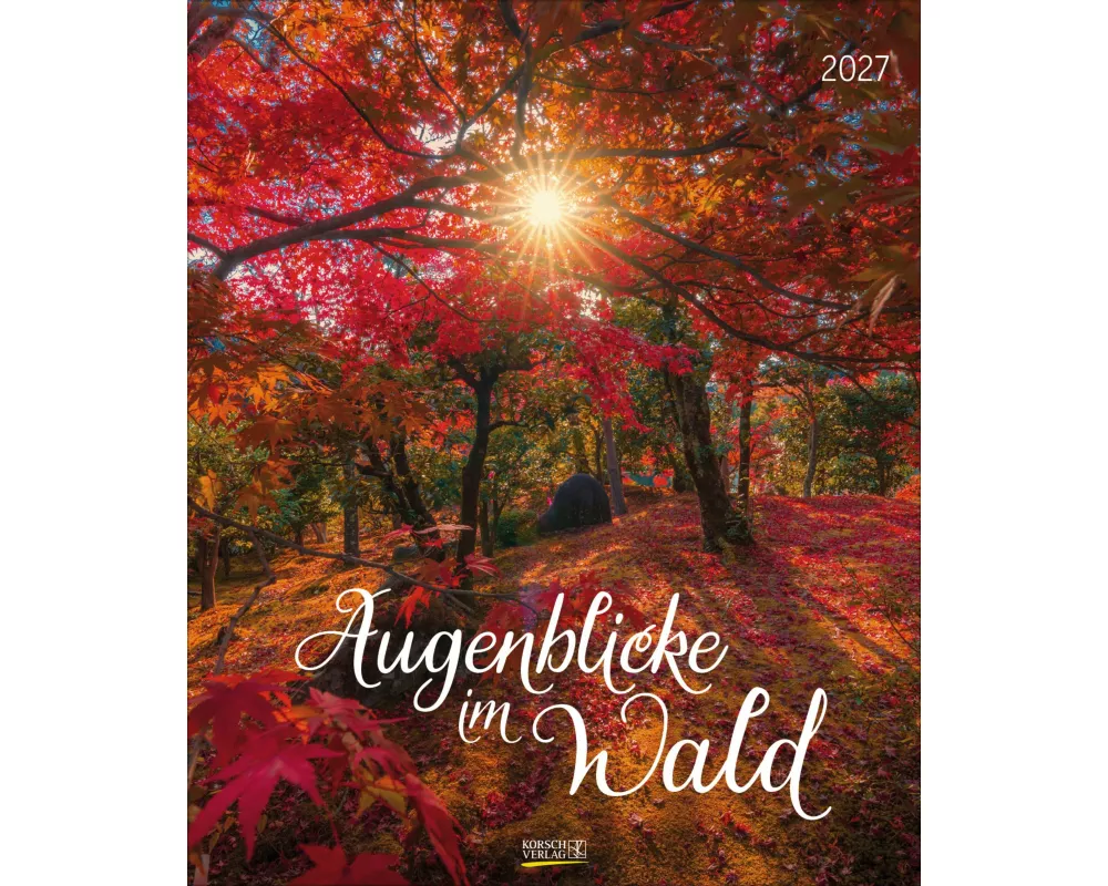 Augenblicke im Wald 2027