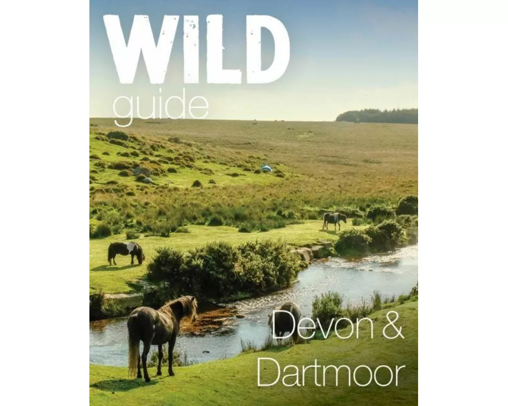 Wild Guide Devon & Dartmoor