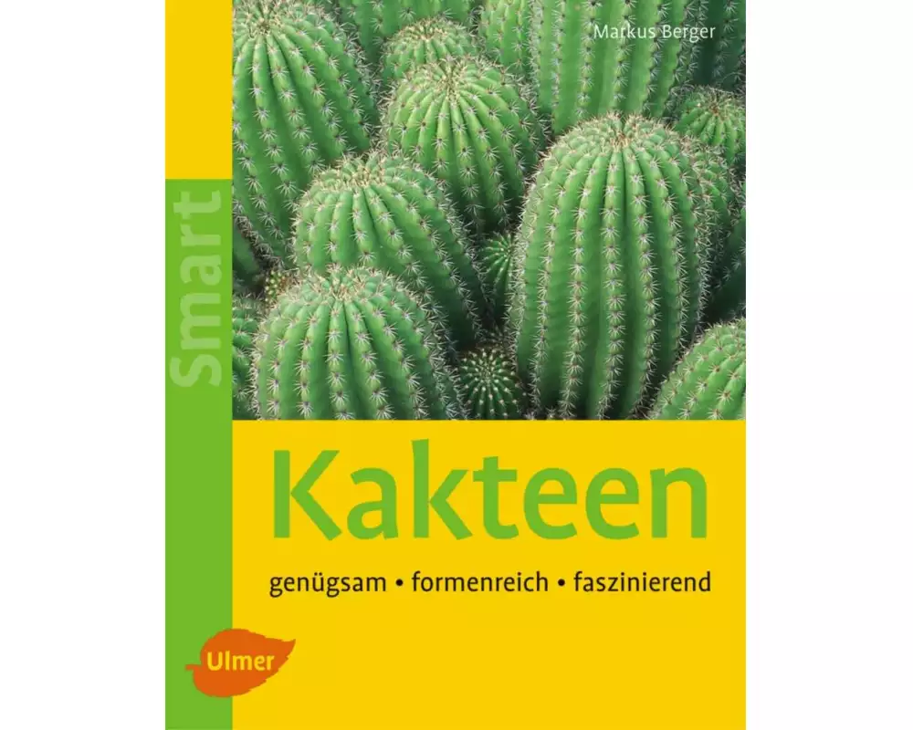 Kakteen