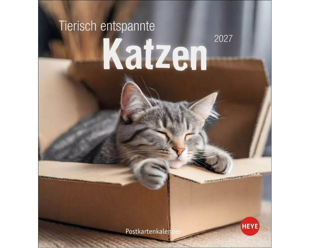 Tierisch entspannte Katzen Postkartenkalender 2027