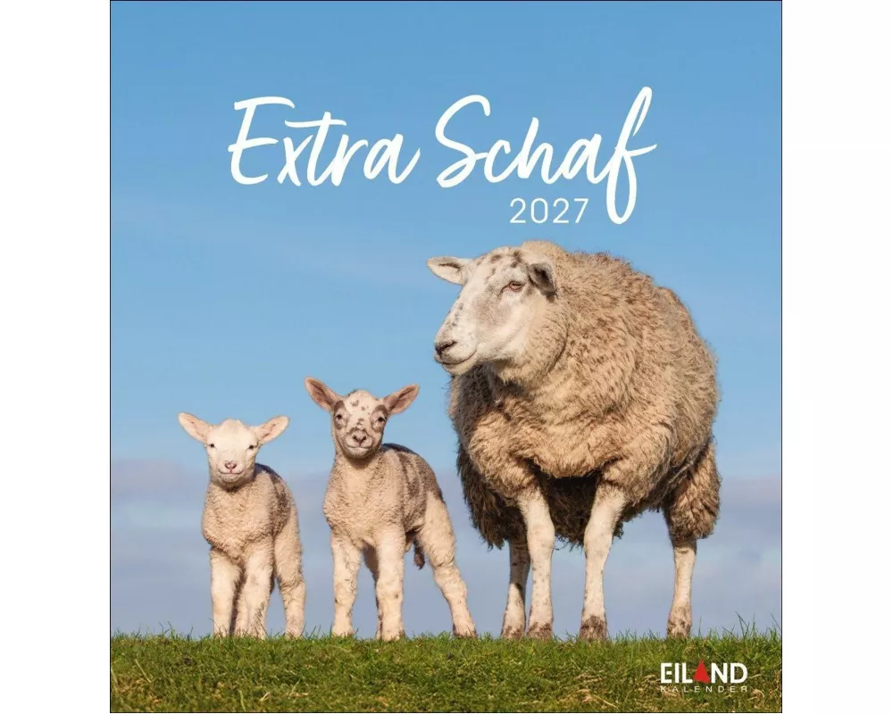 Extra Schaf Postkartenkalender 2027