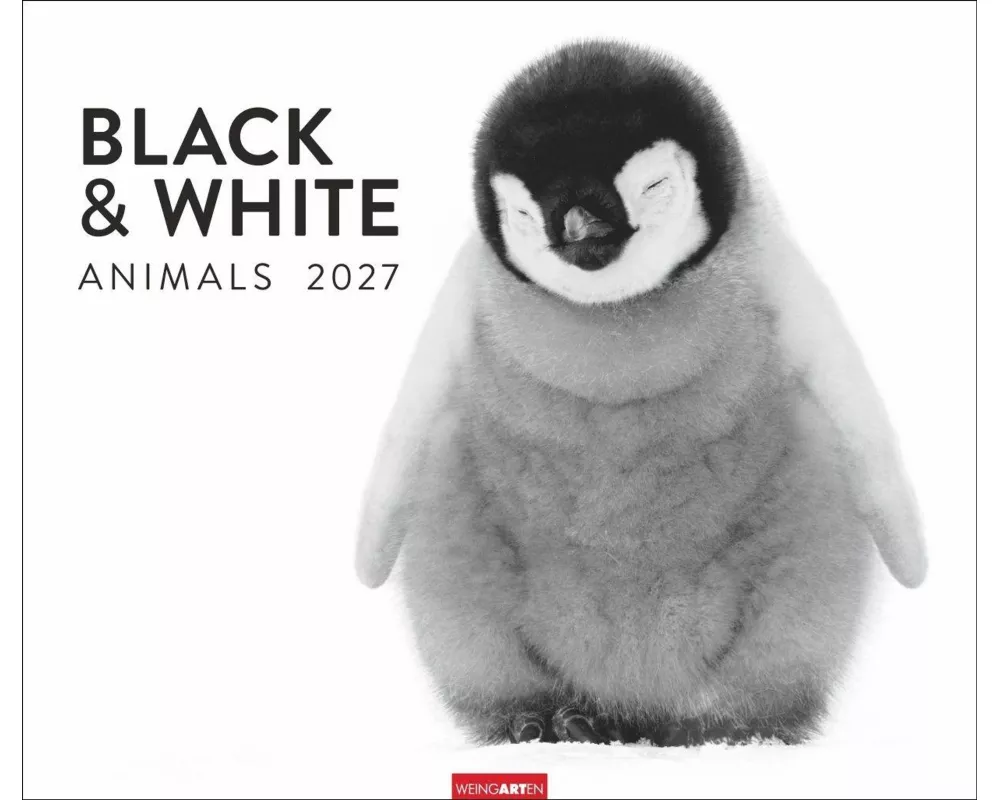 Black & White Animals 2027