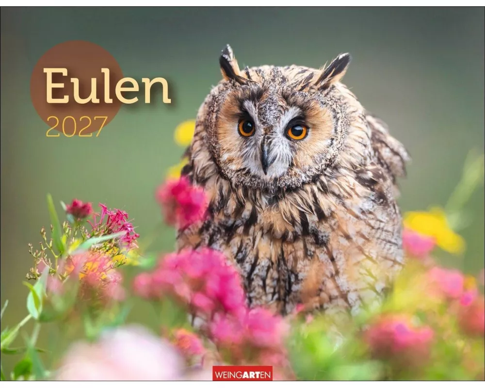 Eulen Kalender 2027