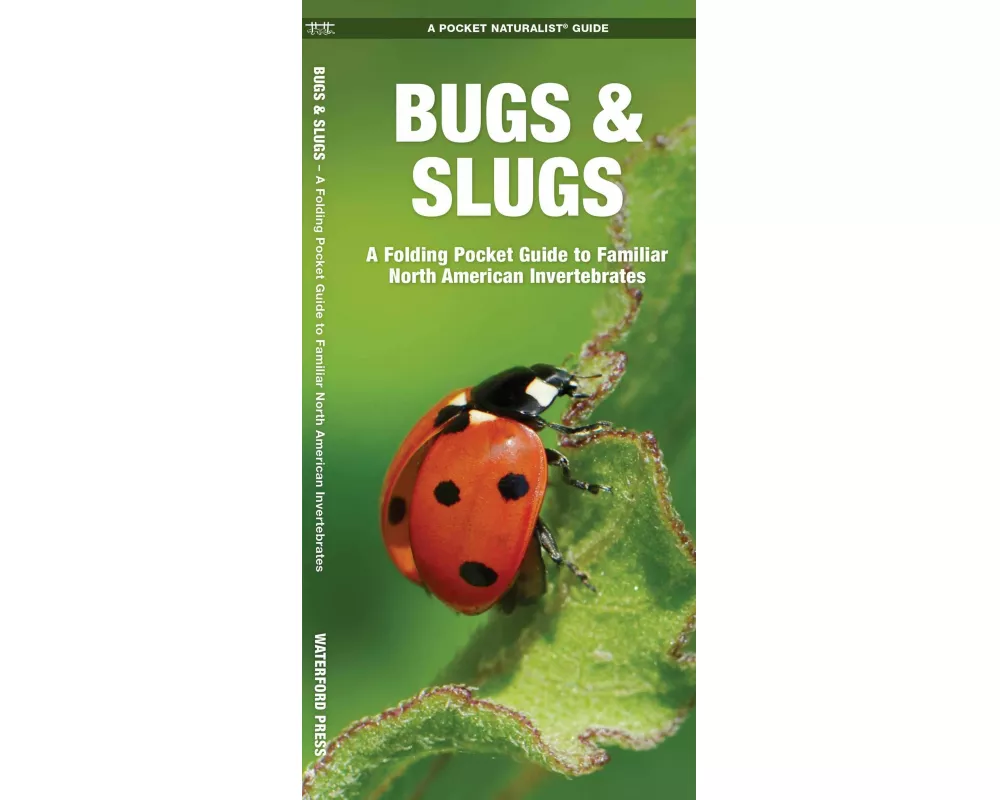 Kavanagh, J: BUGS & SLUGS 2/E