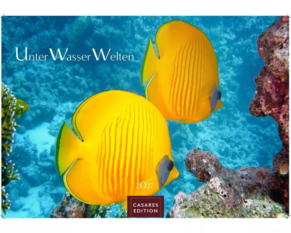 Unterwasserwelten Kalender 2027 - Wandkalender | Fotokalender Naturkalender 35x50cm Großformat - Atemberaubende Meereslandschaften & Korallenriffe
