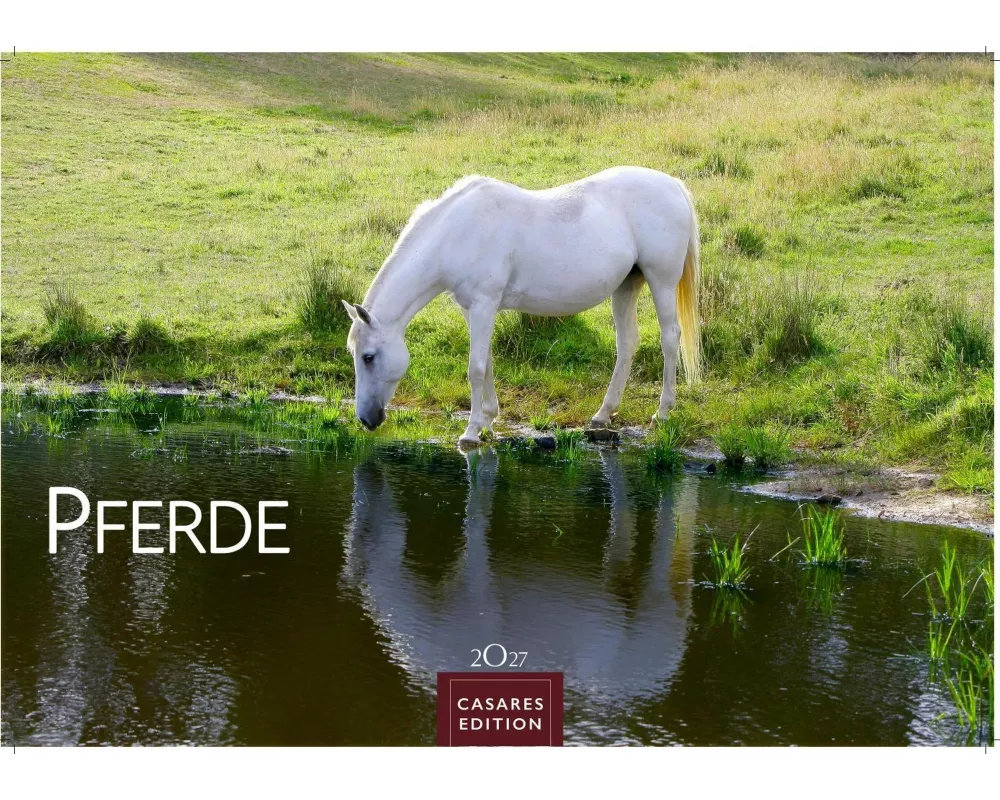 Pferde Kalender 2027 - Wandkalender | Fotokalender Tierkalender 24x35cm mit 12 wunderschönen Fotos dieser edlen Tiere