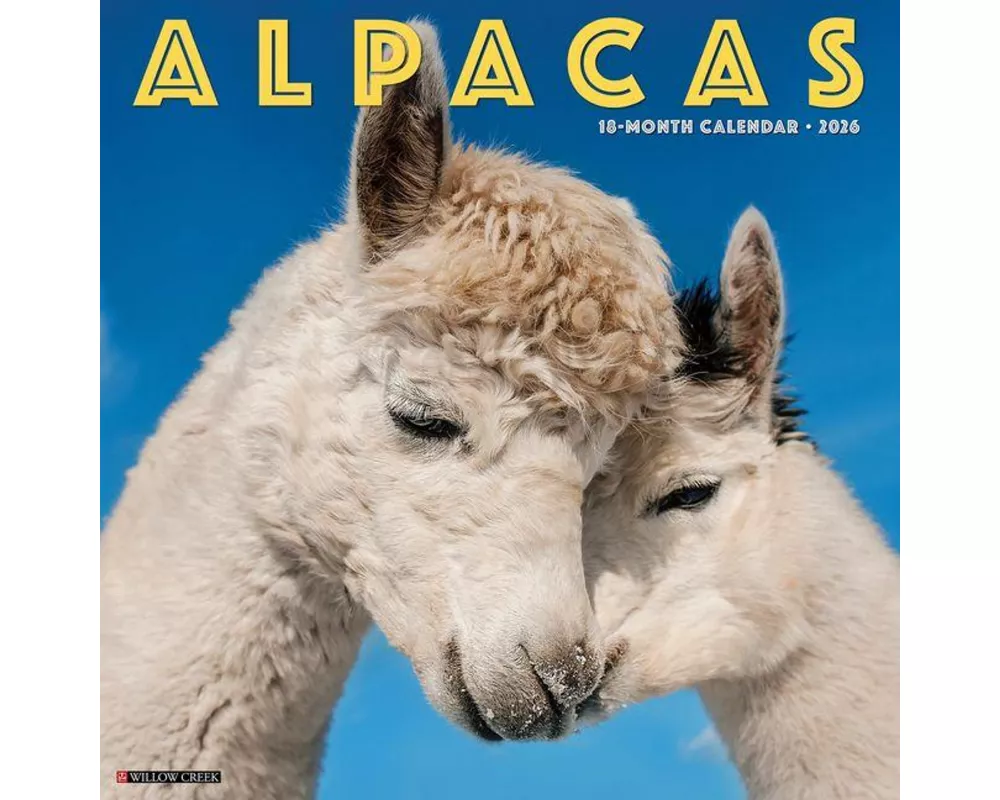 Alpacas 2026 12 X 12 Wall Calendar