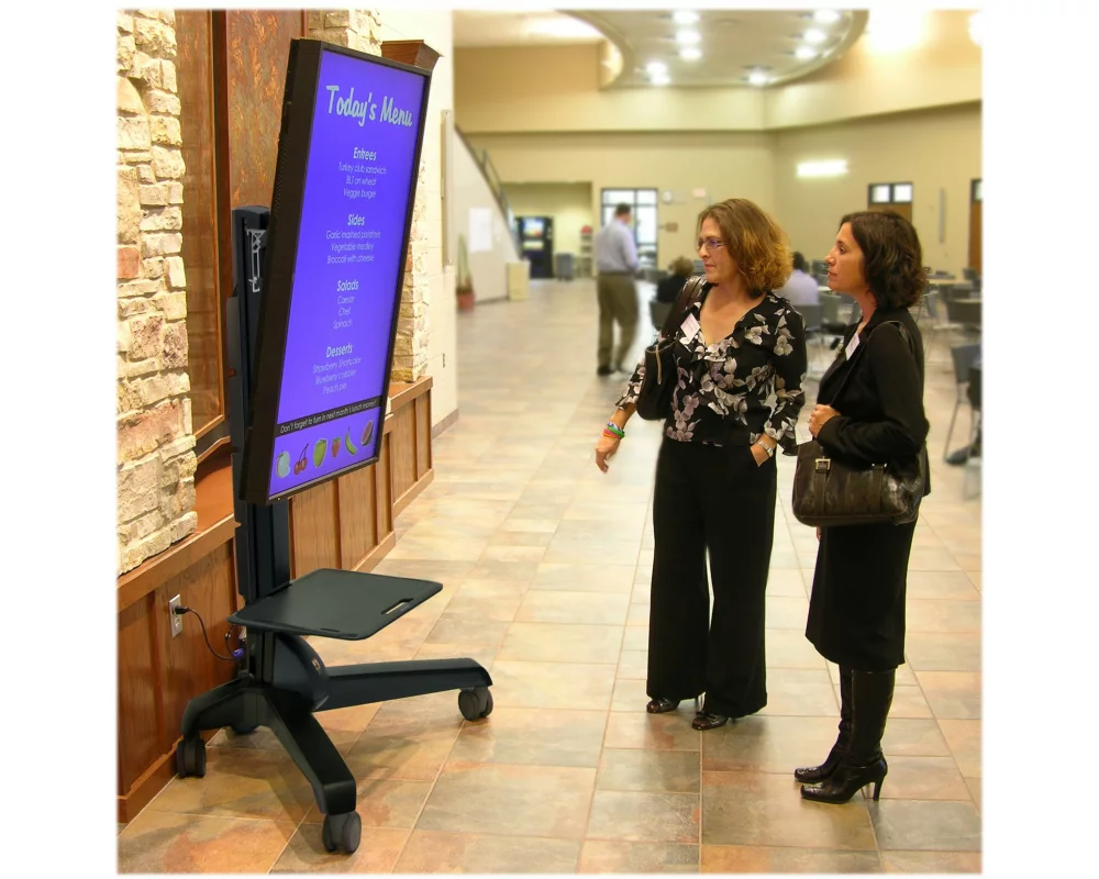 ERGOTRON roll stand, Neo-Flex Mobile MediaCenter VHD, adjustable 51cm, 37-65 inch, 23-41kg, Landscape and Portrait-Modus