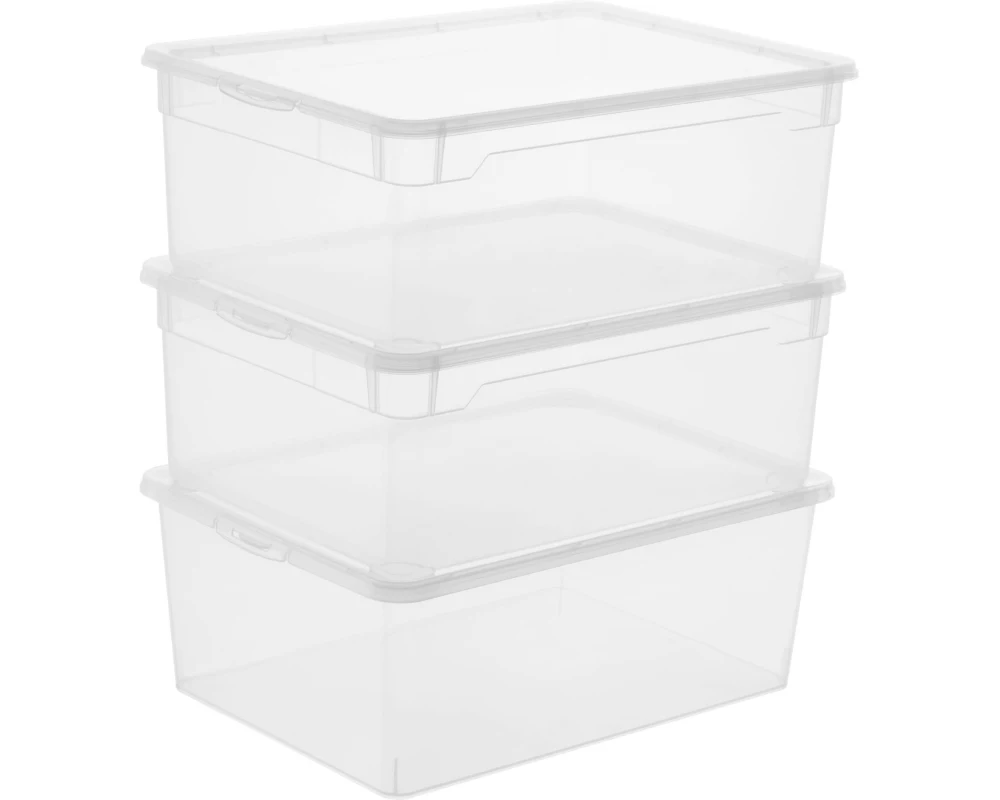 Rotho Aufbewahrungsbox Men Shoe Transparent, 3 tlg.