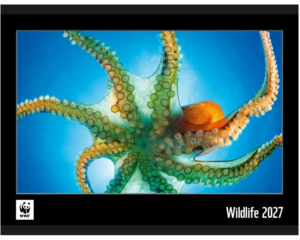 Calendaria Wildlife 34 x 48 cm