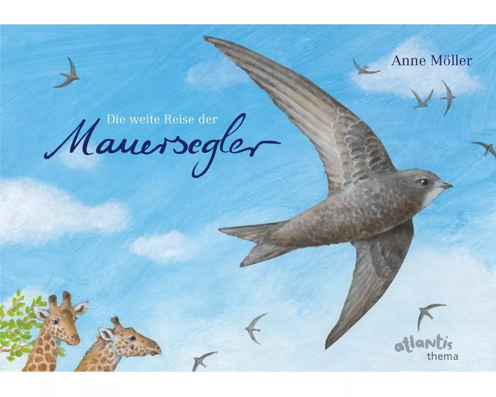 Die weite Reise der Mauersegler