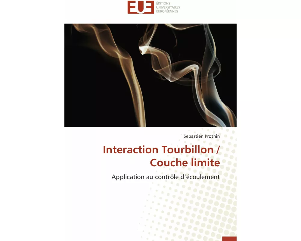 Interaction Tourbillon / Couche limite