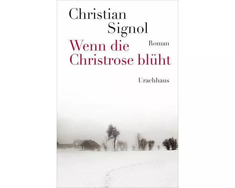 Wenn die Christrose blüht