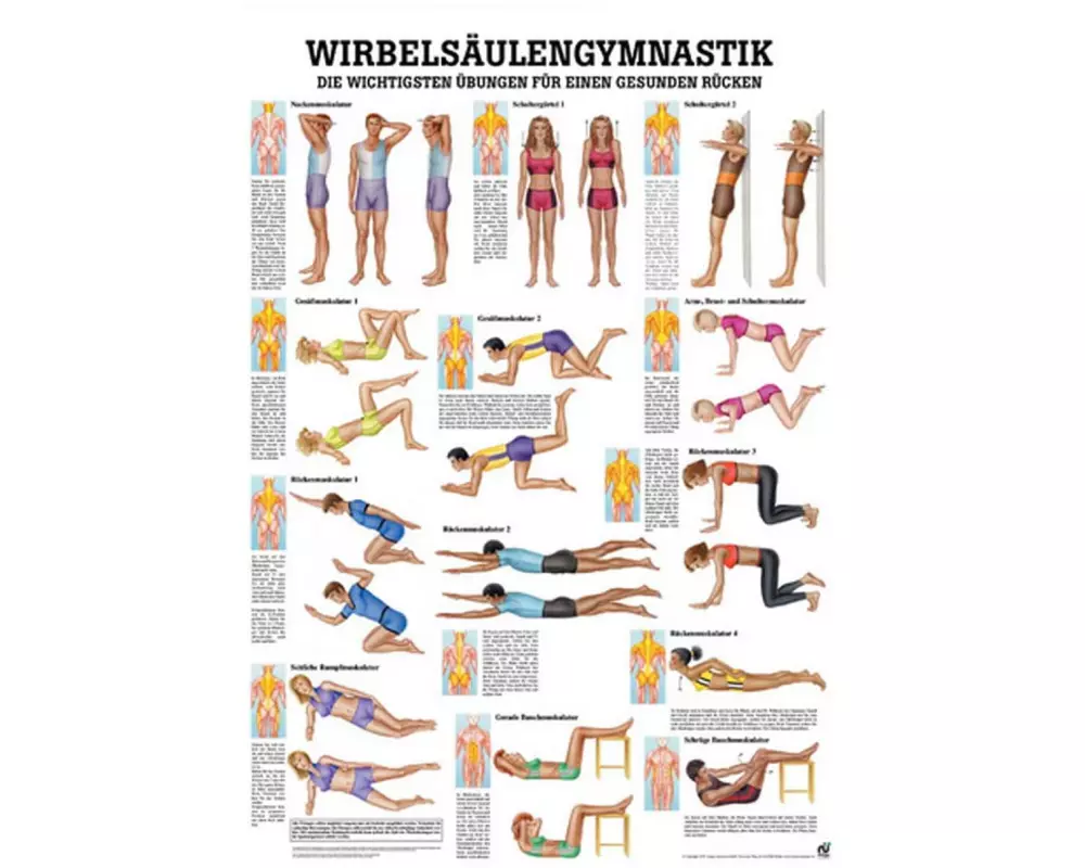 Rüdiger Anatomische Lehrtafel Wirbelsäulengymnastik
