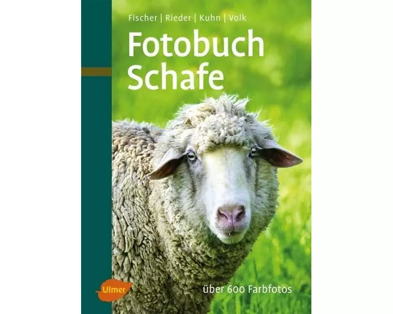 Fotobuch Schafe