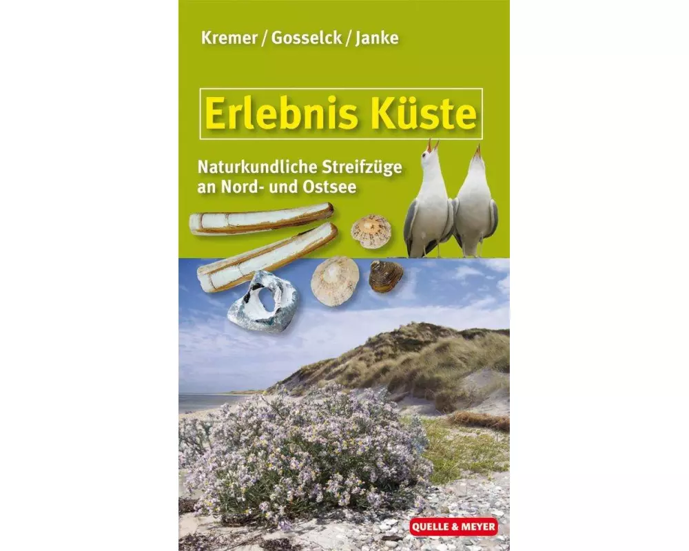 Erlebnis Küste