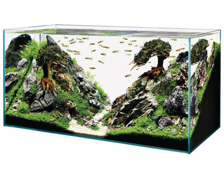 OASE Aquarium ScaperLine 100, 250 l
