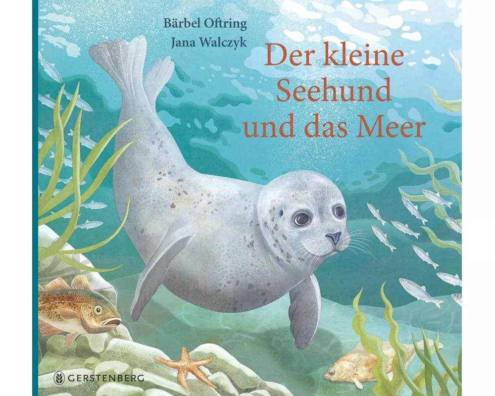 Der kleine Seehund und das Meer