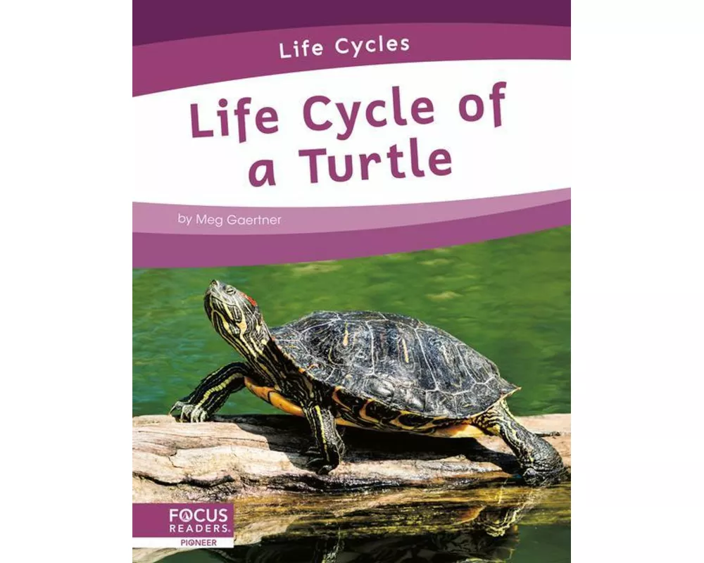 Life Cycle of a Turtle